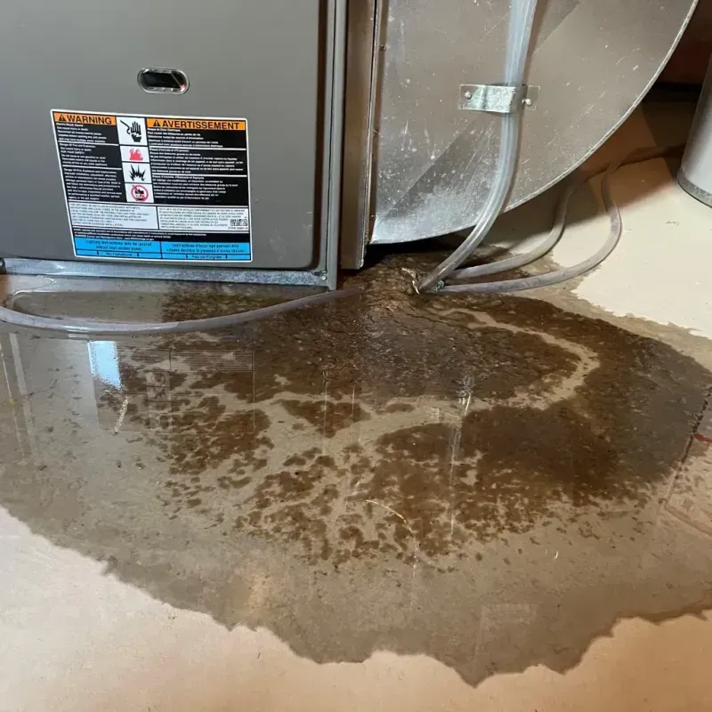 Appliance Leak Cleanup in Burbank, IL